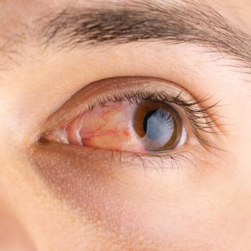 Untitled design (67)